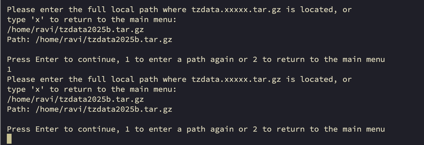 The image displays the first sub-option, which allows the user to re-enter the path.